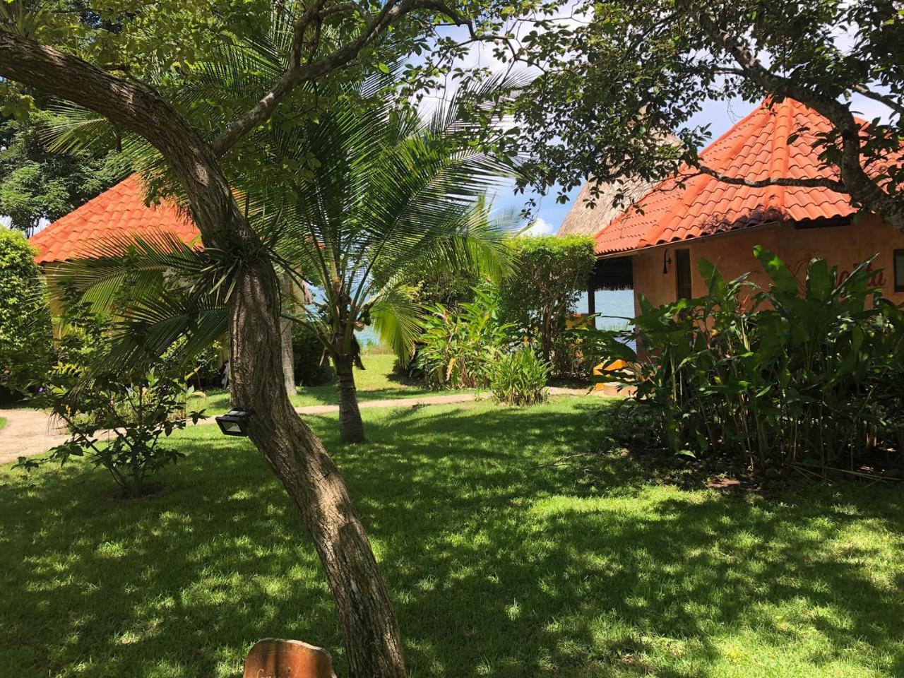 Hôtel Cala Mia à Boca Chica Extérieur photo