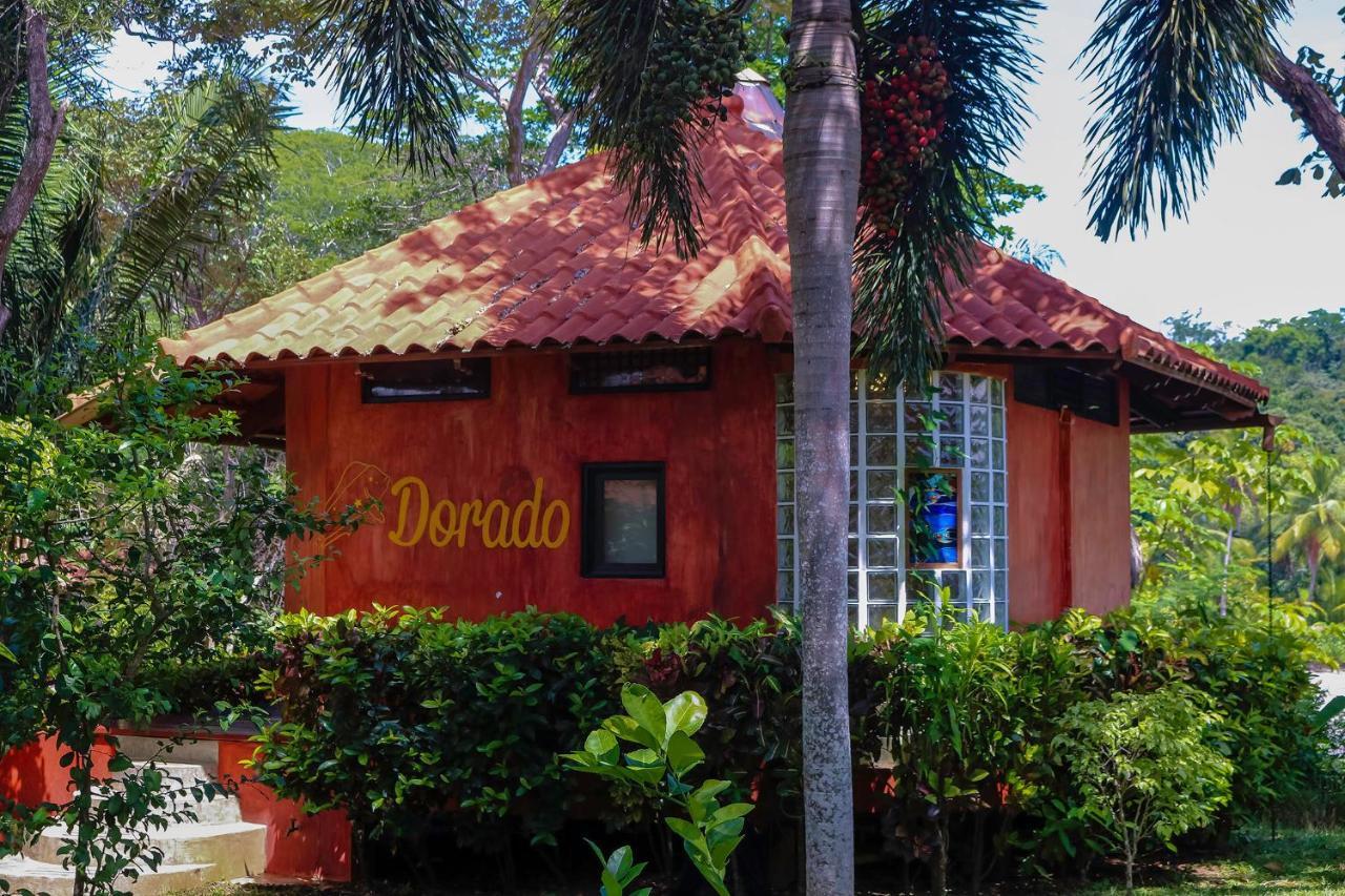Hôtel Cala Mia à Boca Chica Extérieur photo